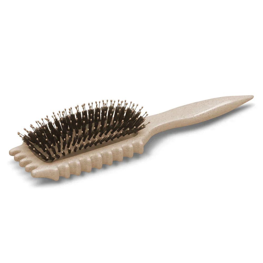 Anti-Frizz Detangling Brush for Curly and Coily Hair