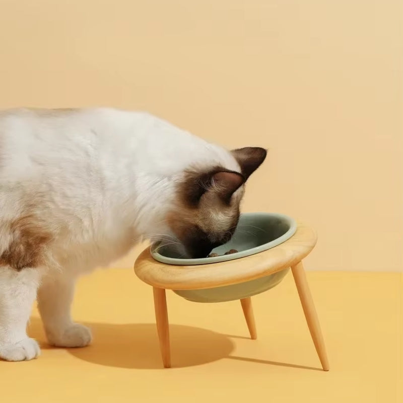 Ceramic Elevated Cat Bowl with Wooden Stand