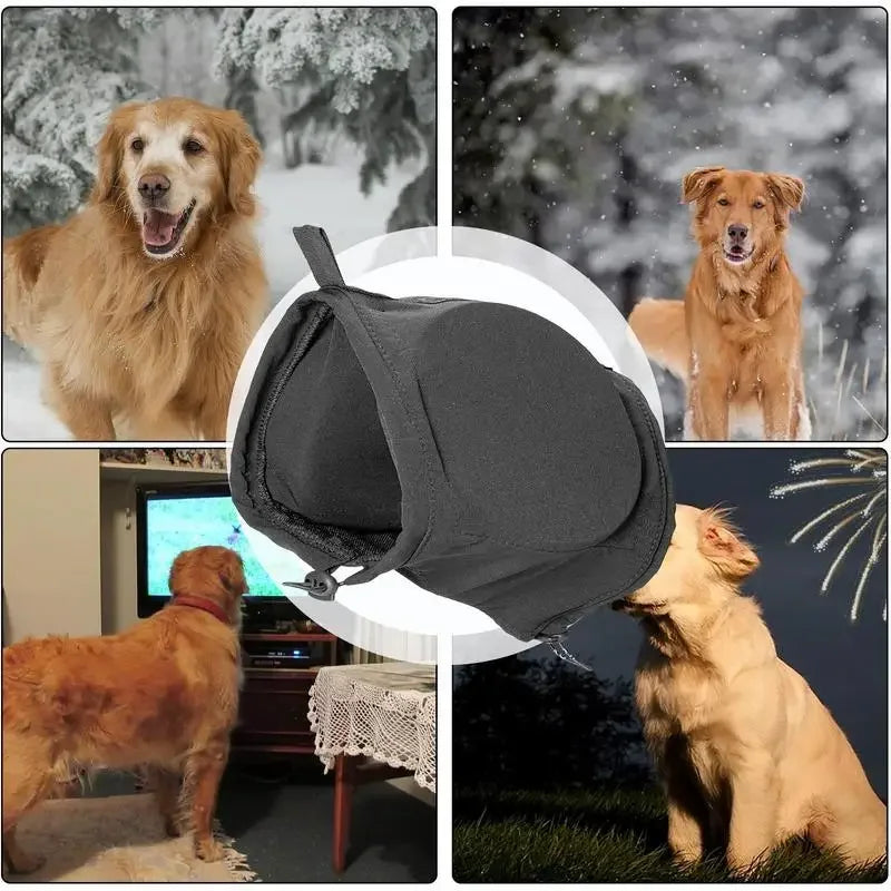 Comfortable Hearing Protection for Sensitive Dogs