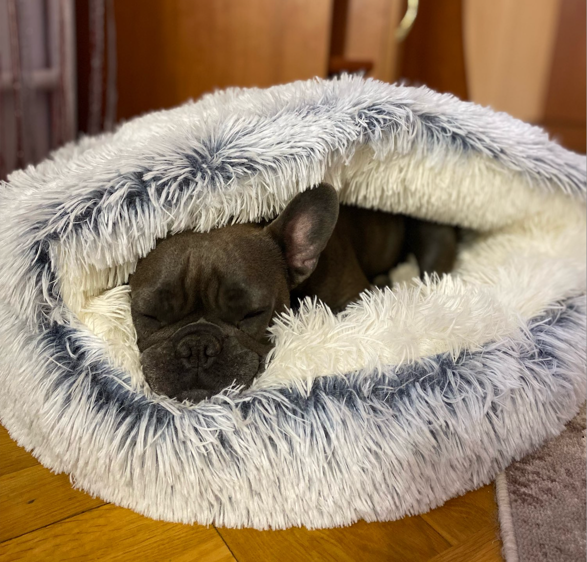 Cozy Cave Dog Bed with Anti-Slip Base – Machine Washable Plush Cushion