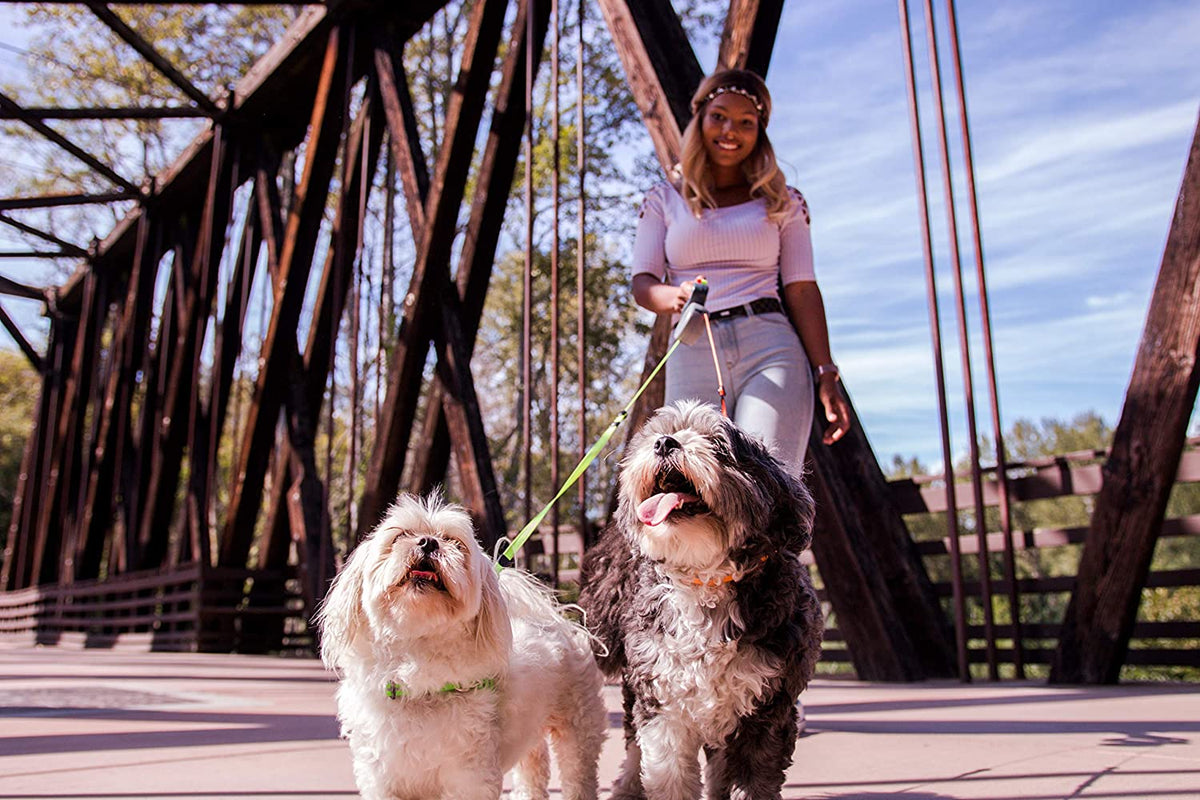 Dual Dog Leash – Tangle-Free