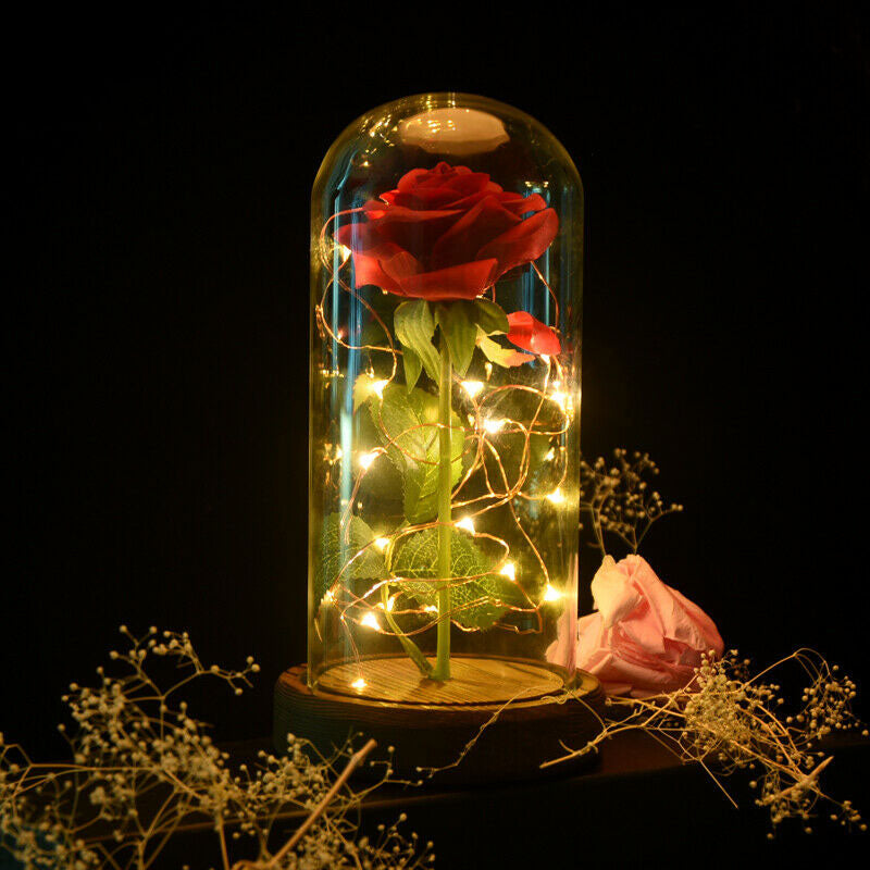 Eternal Rose - Forever Rose