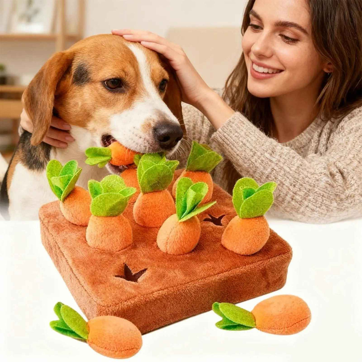 Interactive Carrot Puzzle Snuffle Board