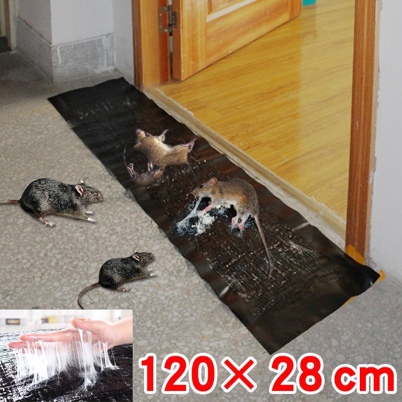 Large Non-Toxic Glue Trap for Effective Pest Control