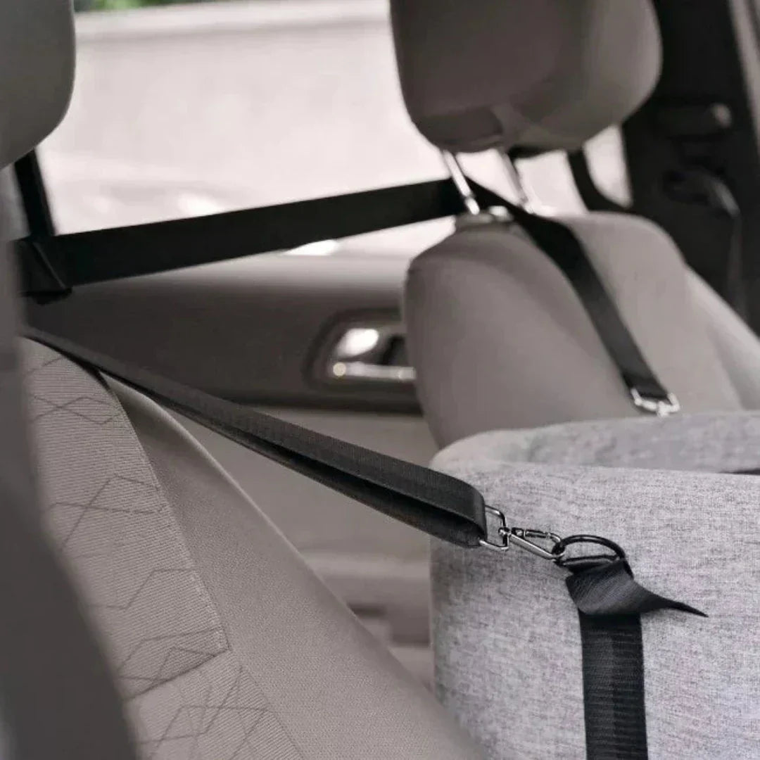 Pet Car Seat