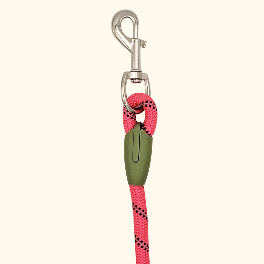 Reflective Hands-Free Dog Leash for Running & Large Dogs