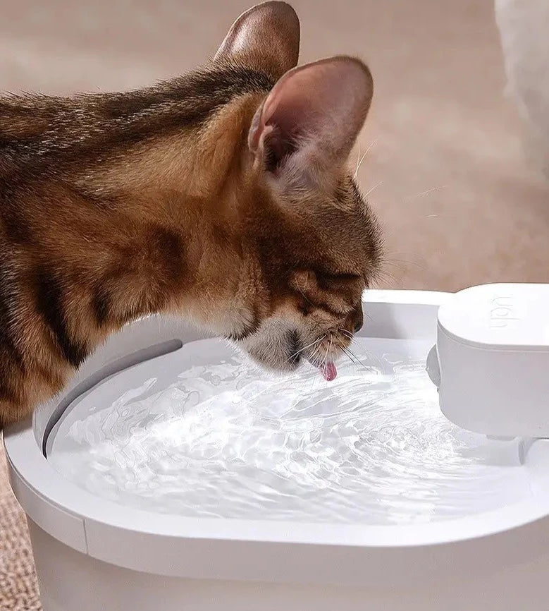 Smart Cat Water Fountain with Sensor