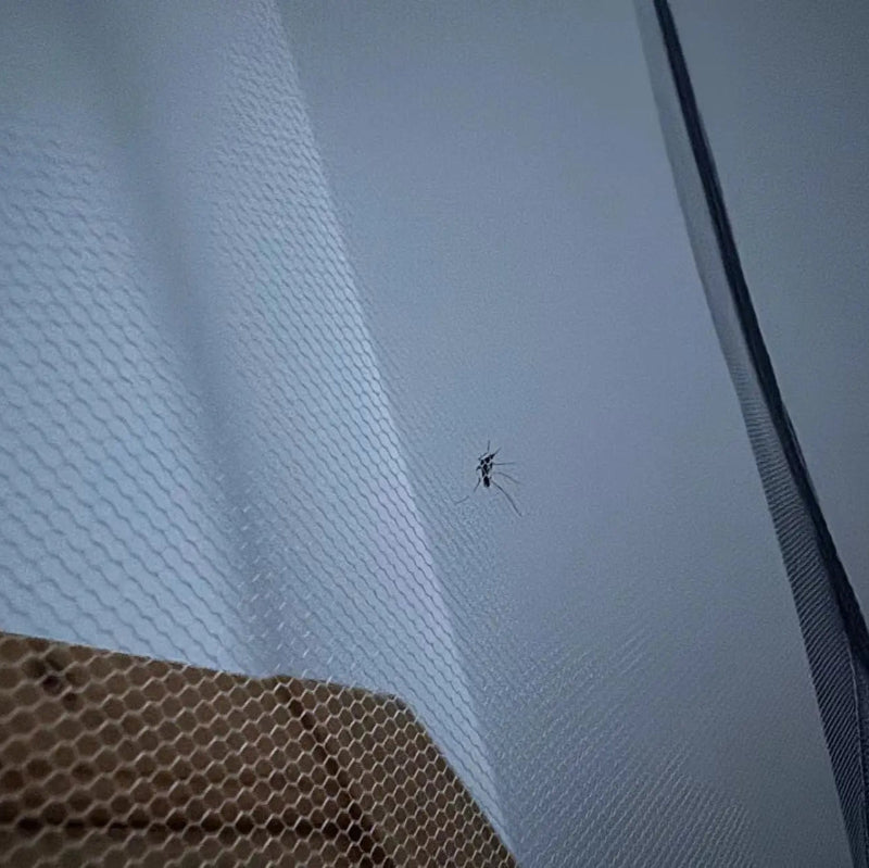 Stylish Foldable Square Bed Mosquito Net