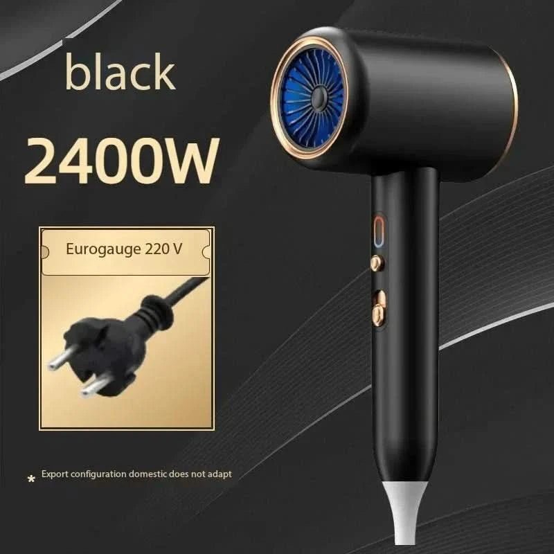 2400W Ionic Hair Dryer with Low-Noise Design