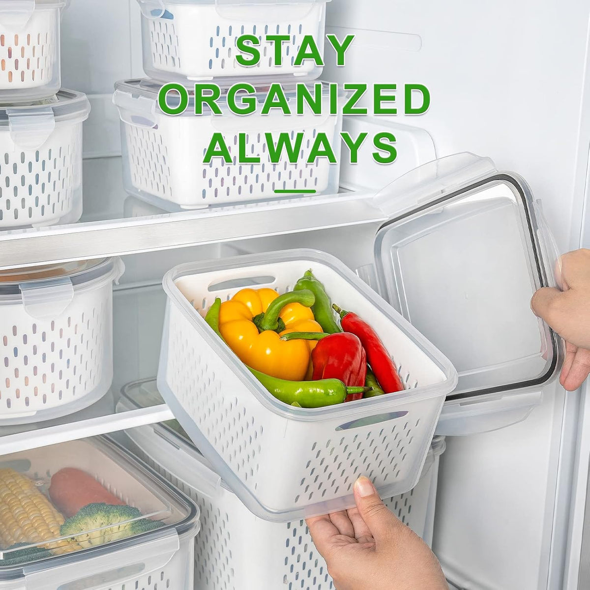5-Piece Large Food Storage Set