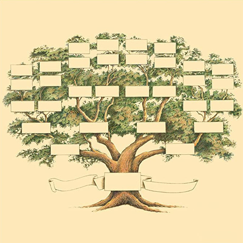 6-Generation Family Tree Chart - Home Decoration