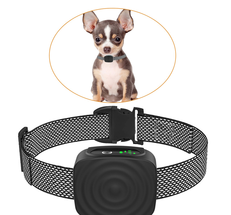 Anti-Bark Collar for Small Dogs with Adjustable Sensitivity