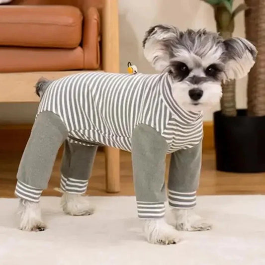 Anti-Licking Dog Recovery Suit