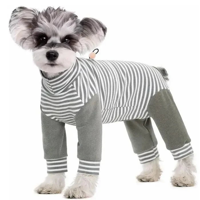 Anti-Licking Dog Recovery Suit