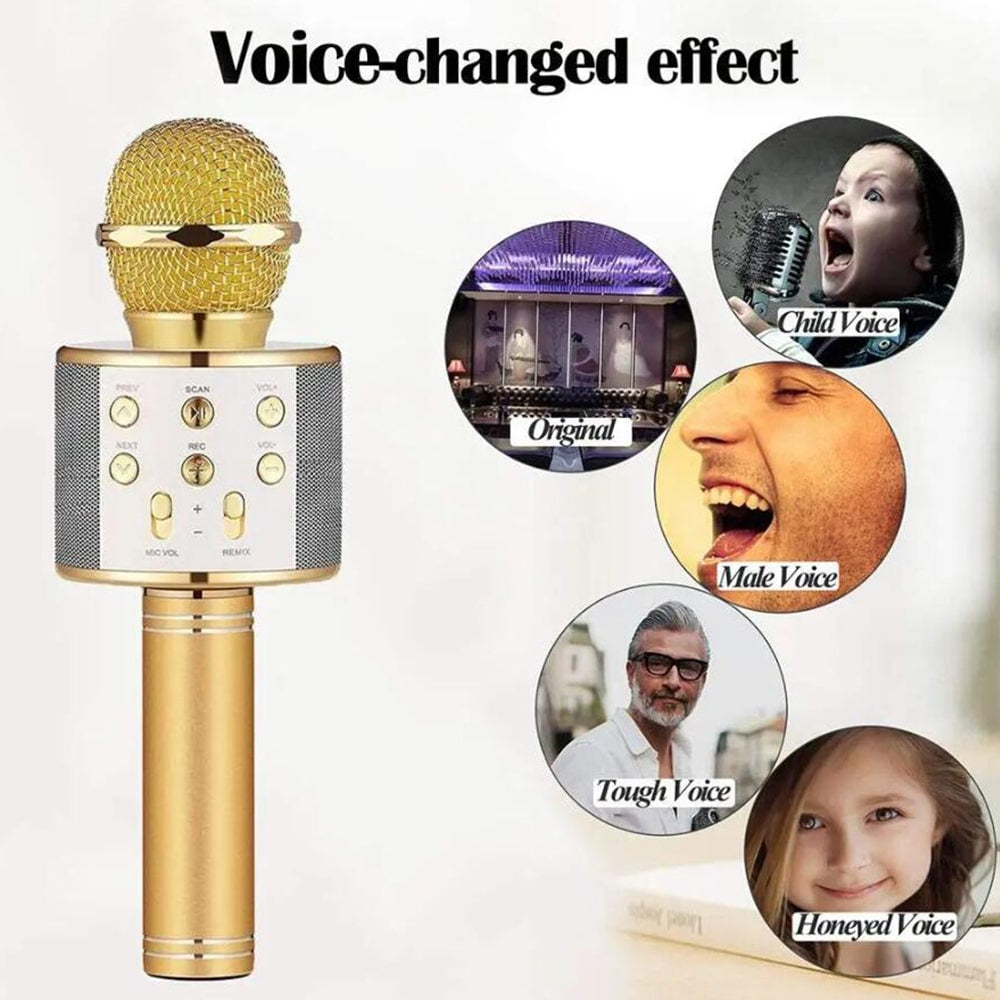 Bluetooth Karaoke Microphone with Speaker
