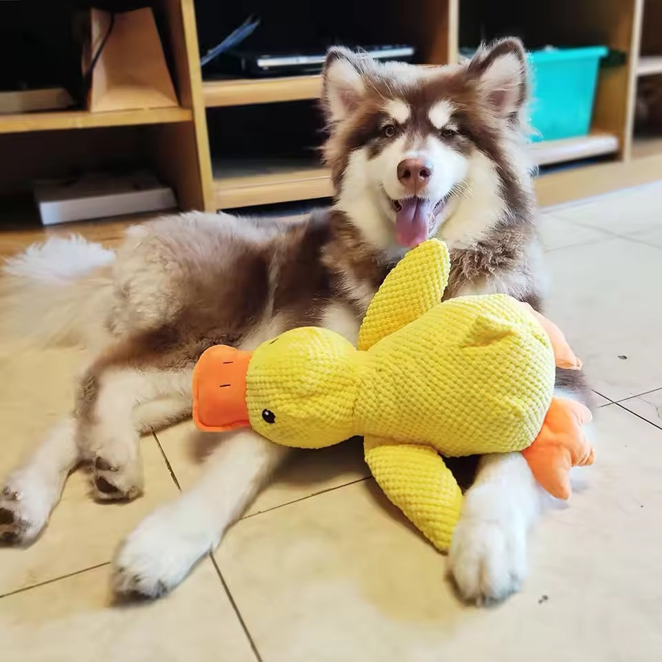 Calming Duck - For Your Dog's Happiness and Well-Being
