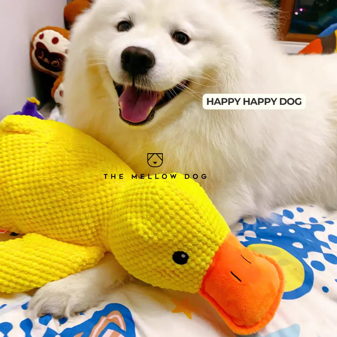 Calming Duck - For Your Dog's Happiness and Well-Being