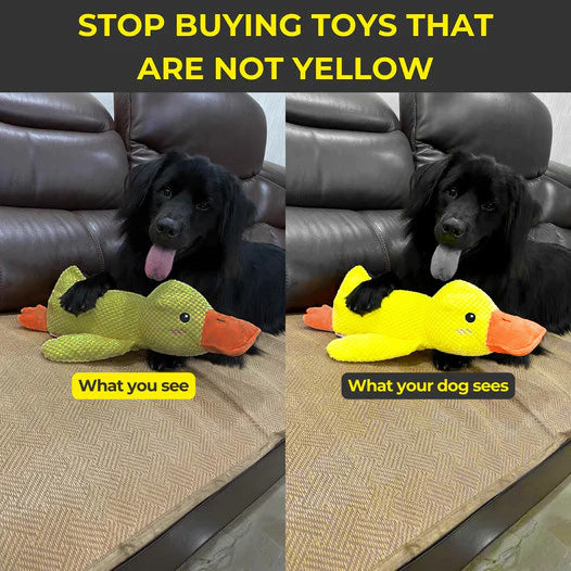 Calming Duck Toy – Soft & Relaxing Plush Toy for Pets
