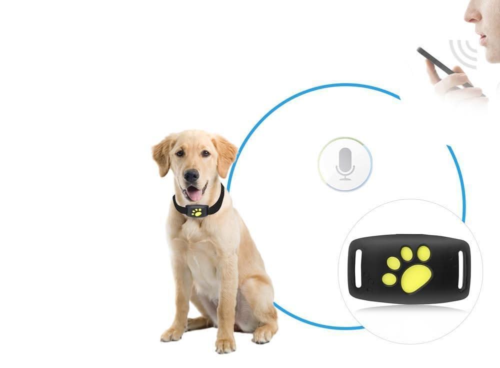 Cat Tracking System – Subscription-Free Real-Time Tracking Device