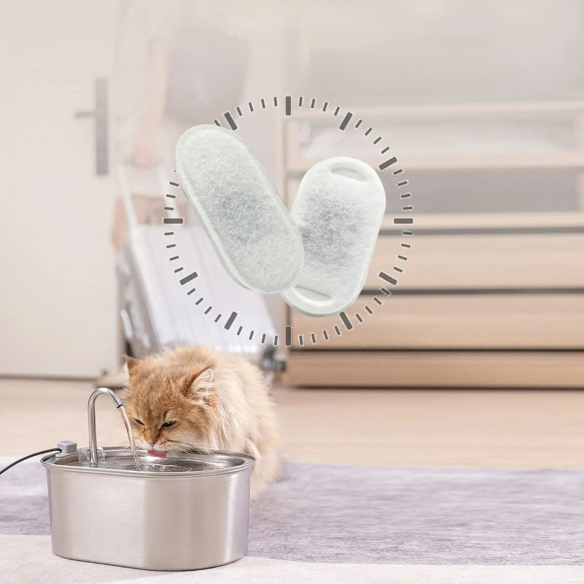 Cat Water Fountain Filter