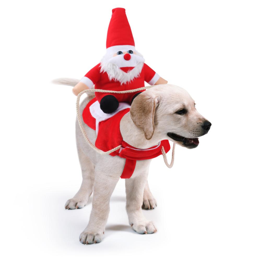 Christmas Dog Costume