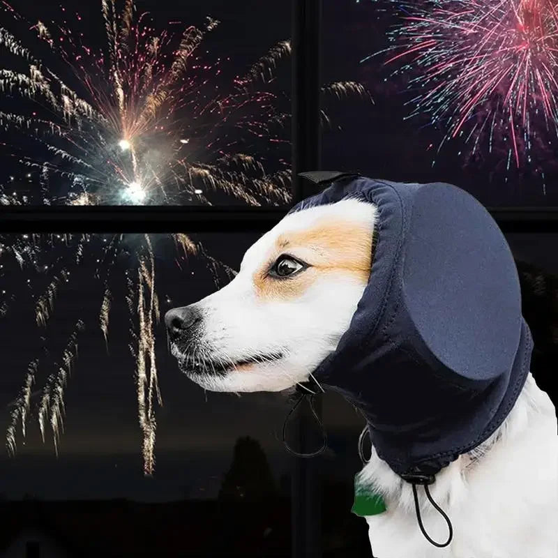 Comfortable Hearing Protection for Sensitive Dogs