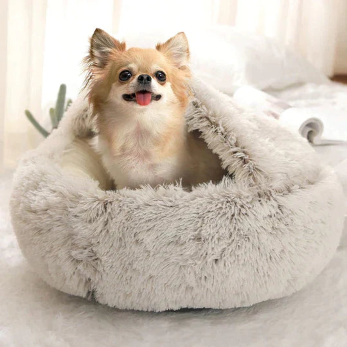 Cozy Cave Pet Bed | Calming and Comfortable Dog Bed for Deep Relaxation