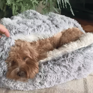 Cozy Cave Pet Bed | Calming and Comfortable Dog Bed for Deep Relaxation