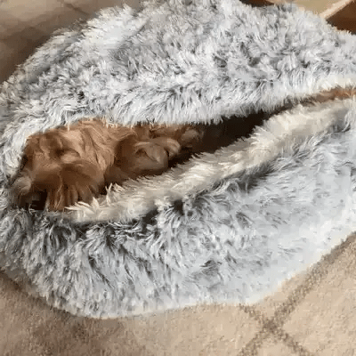 Cozy Cave Pet Bed | Calming and Comfortable Dog Bed for Deep Relaxation