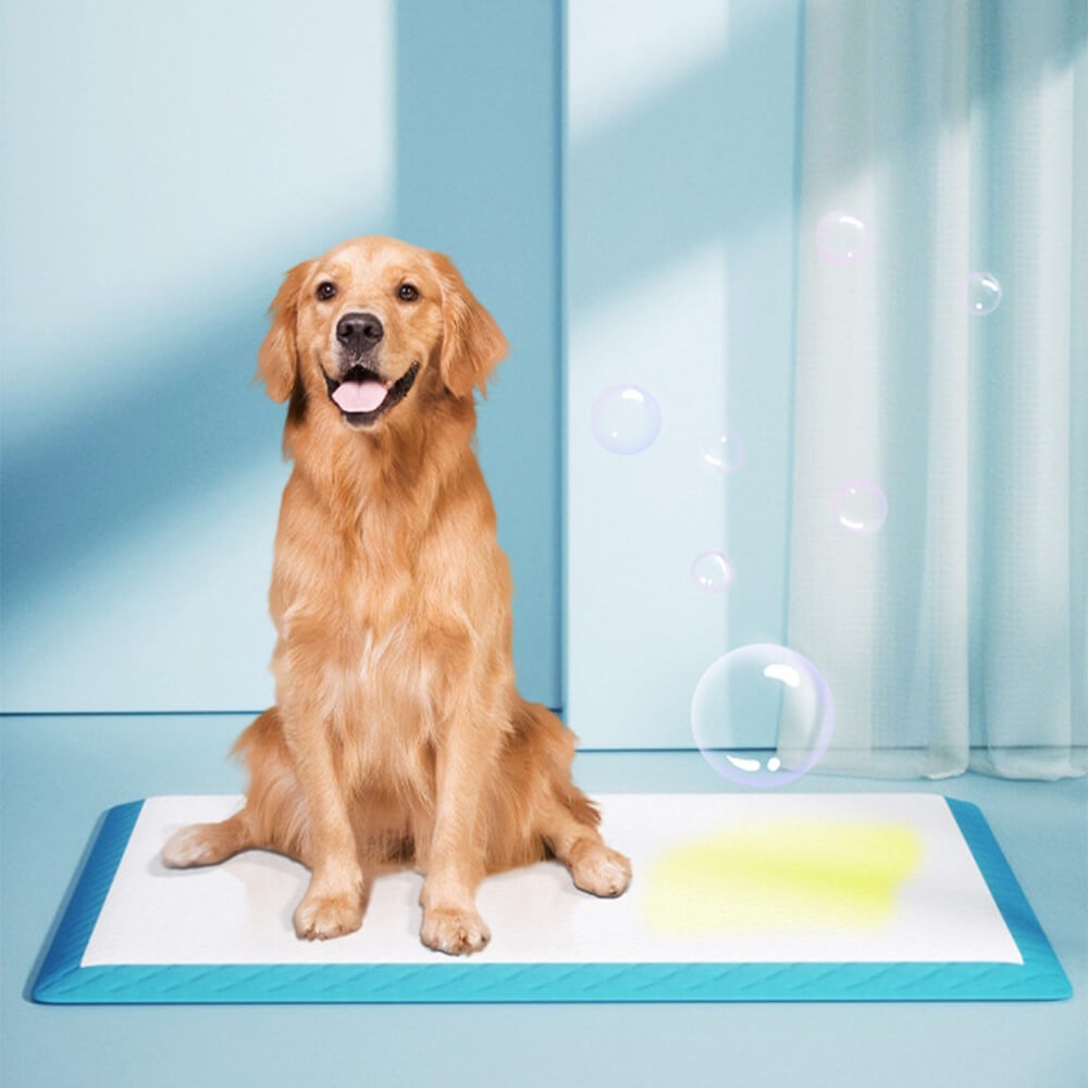 Disposable Absorbent and Leak-Proof Pet Training Pads