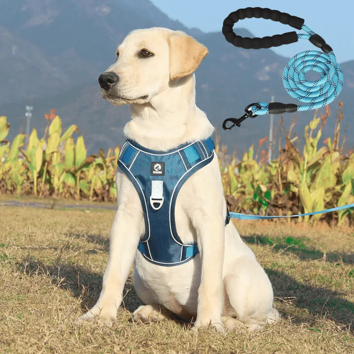 Dog Harness with Comfortable Lining