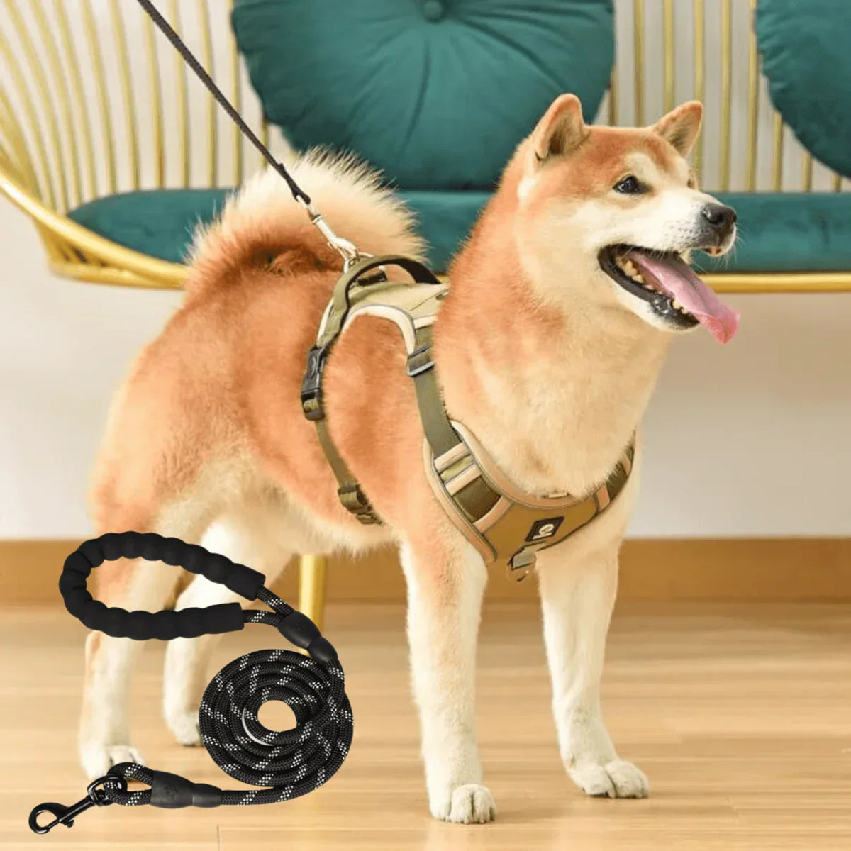 Dog Harness with Comfortable Lining