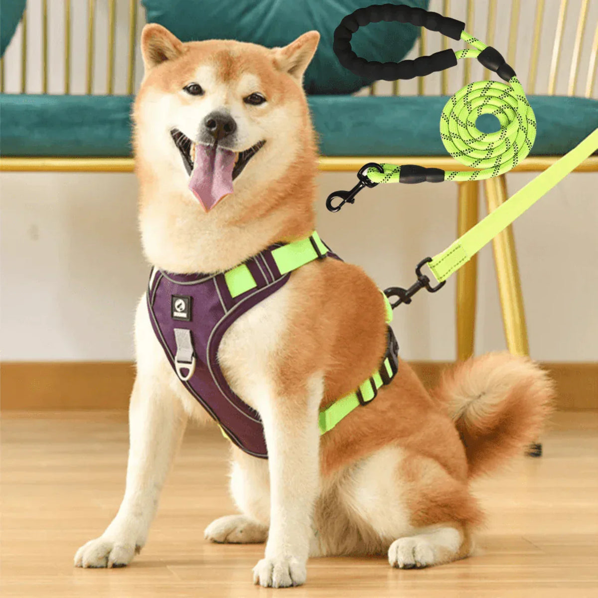 Dog Harness with Comfortable Lining