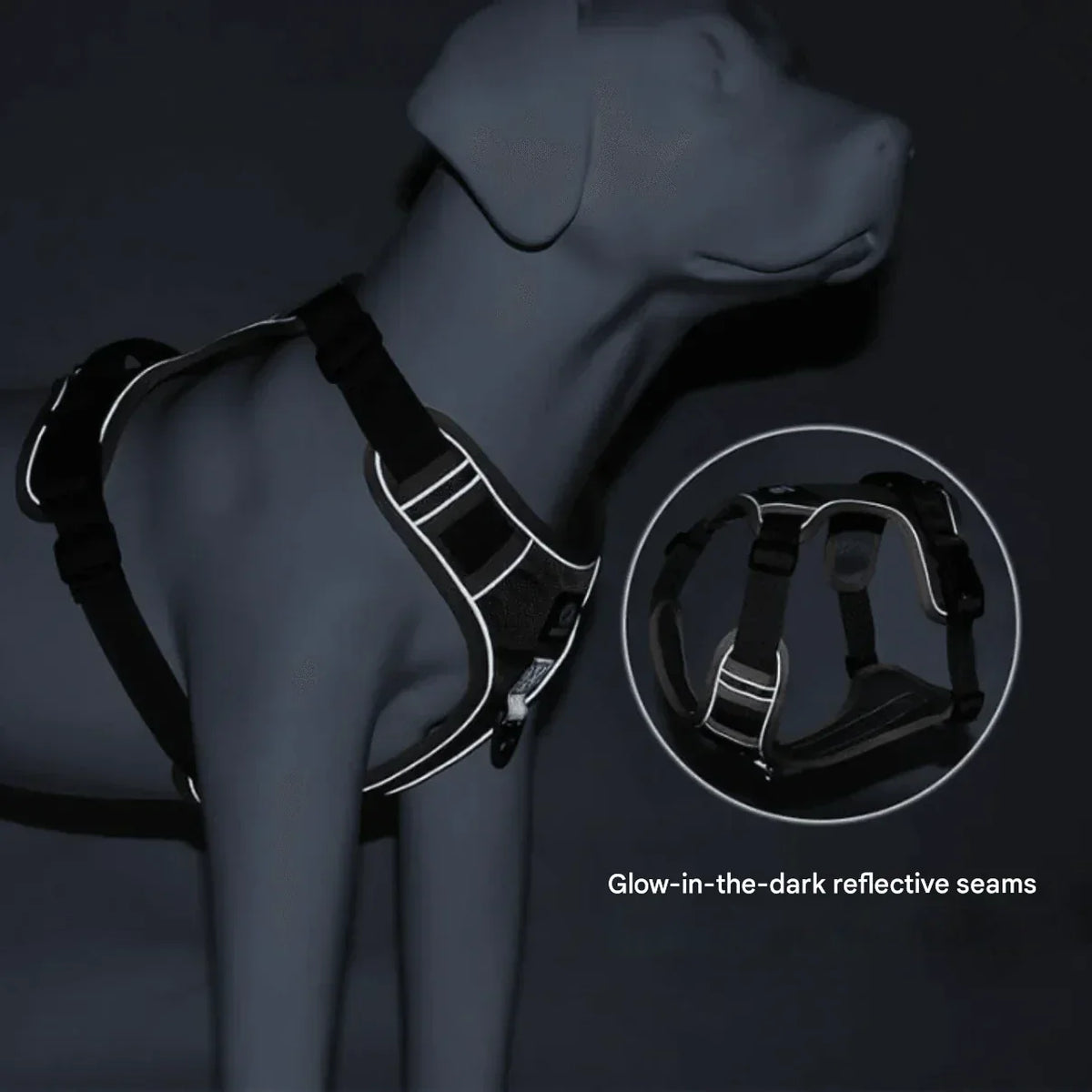 Dog Harness with Comfortable Lining