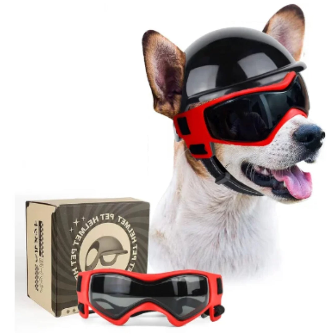 Dog Helmet and Goggles