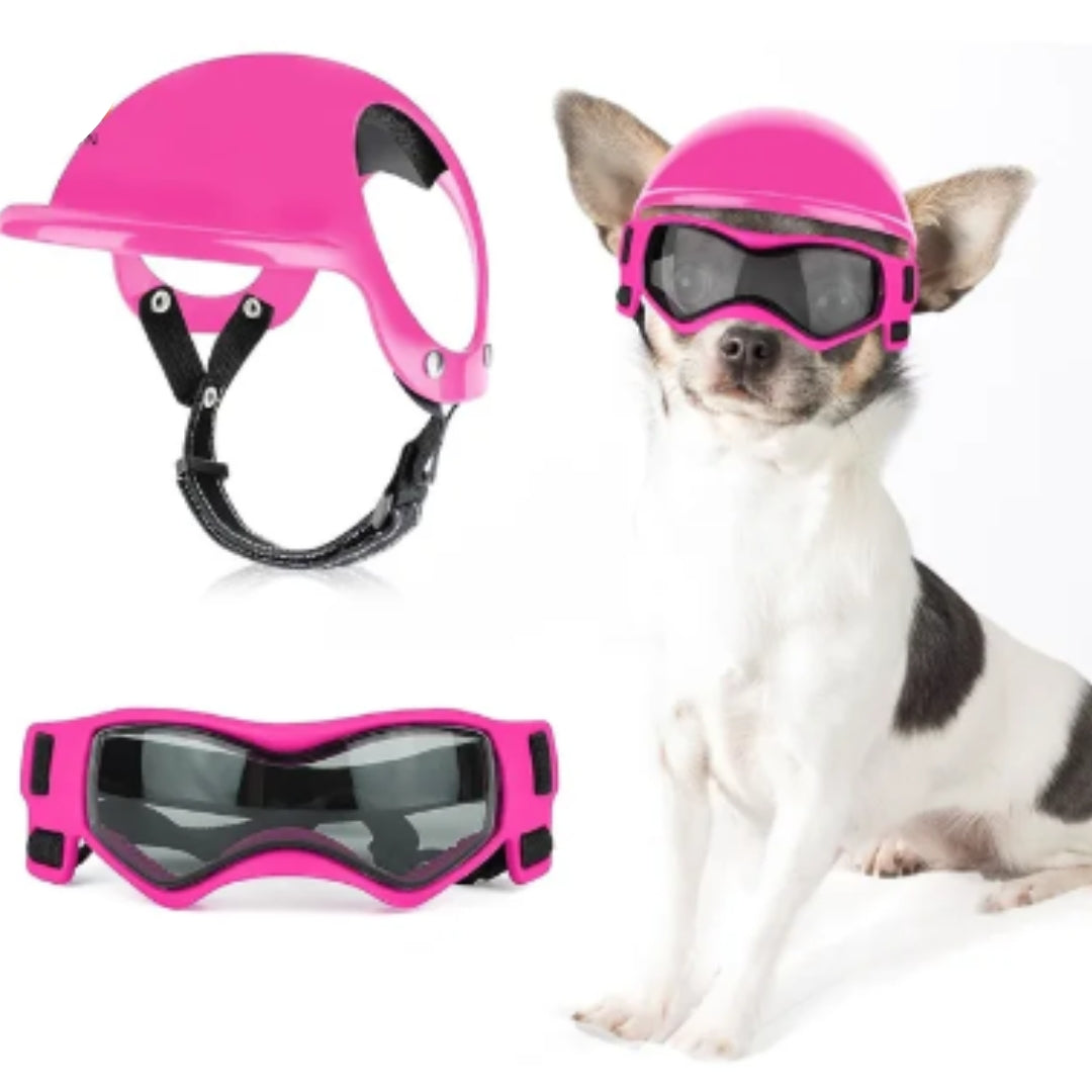 Dog Helmet and Goggles