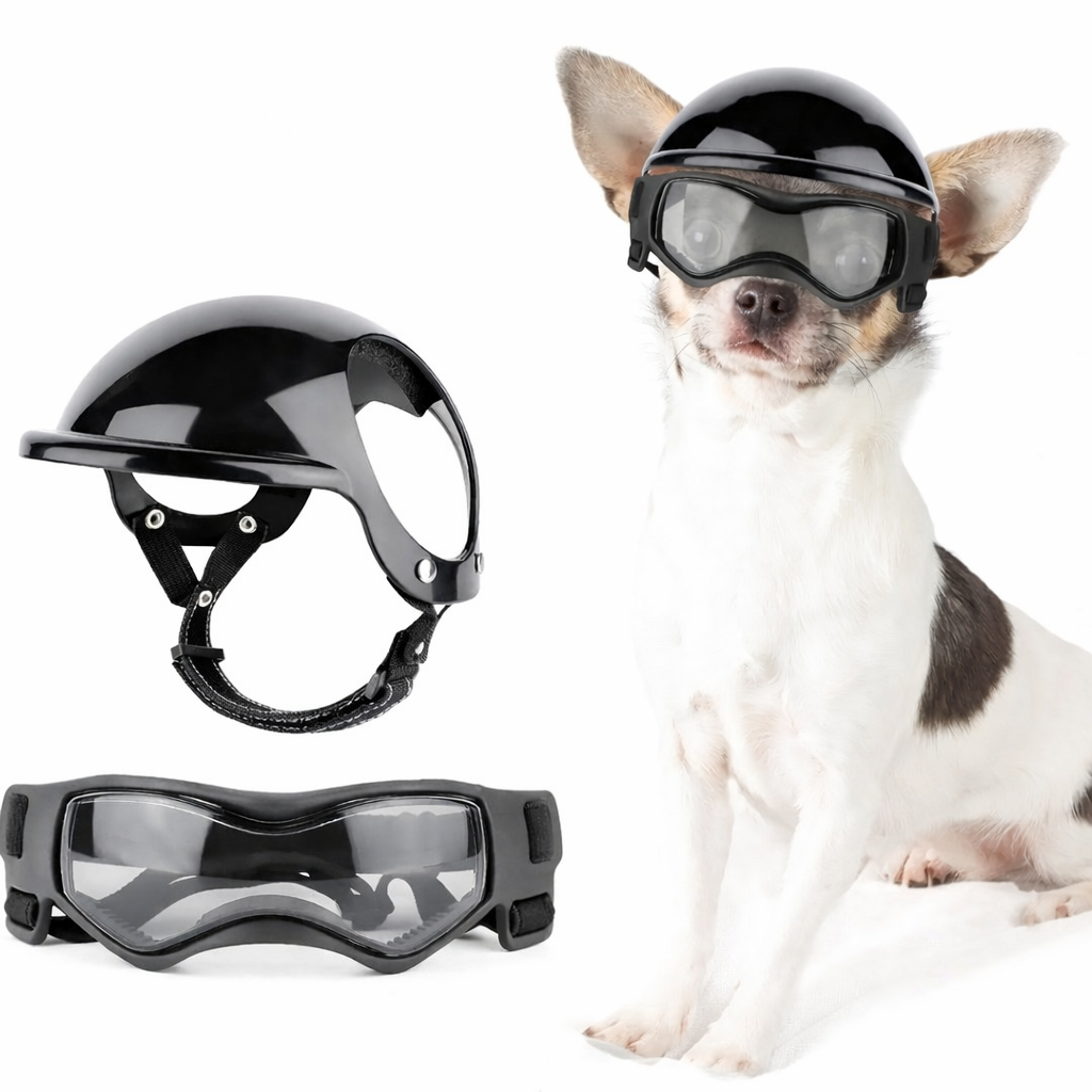 Dog Helmet and Goggles