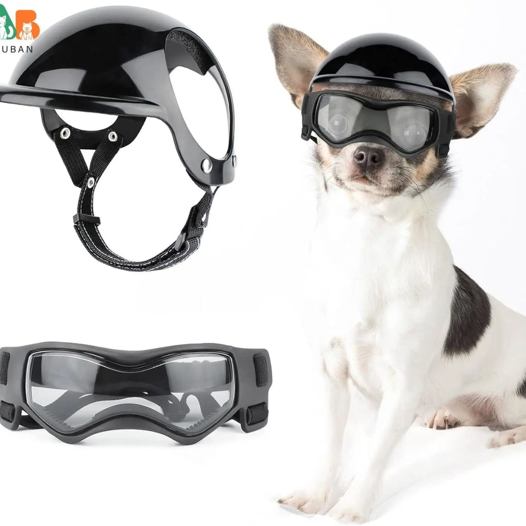 Dog Helmet and Goggles
