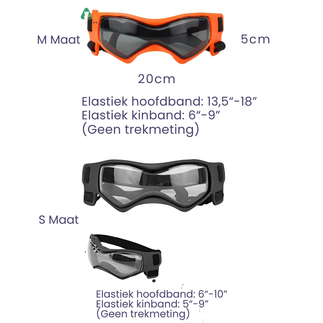 Dog Helmet and Goggles