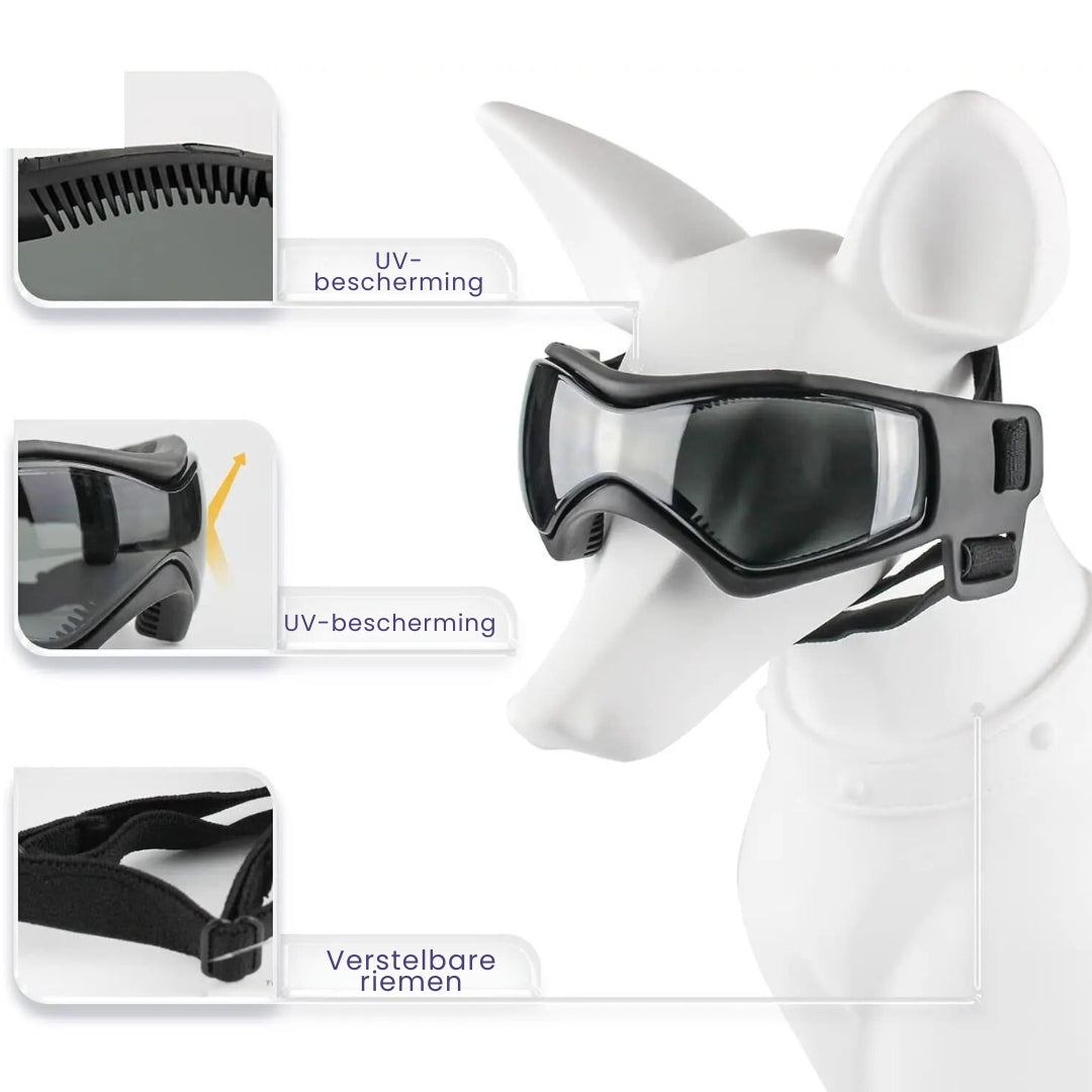 Dog Helmet and Goggles