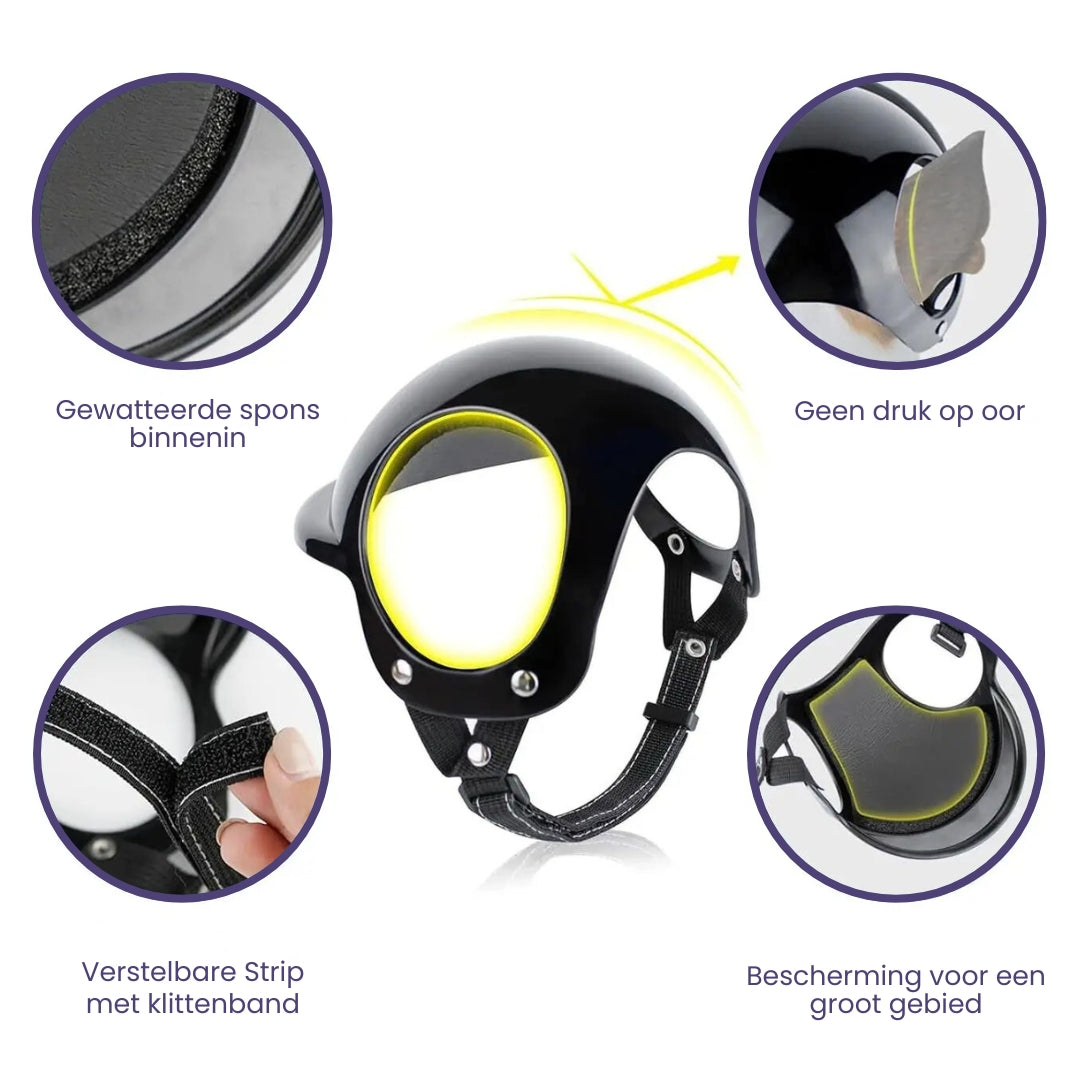 Dog Helmet and Goggles