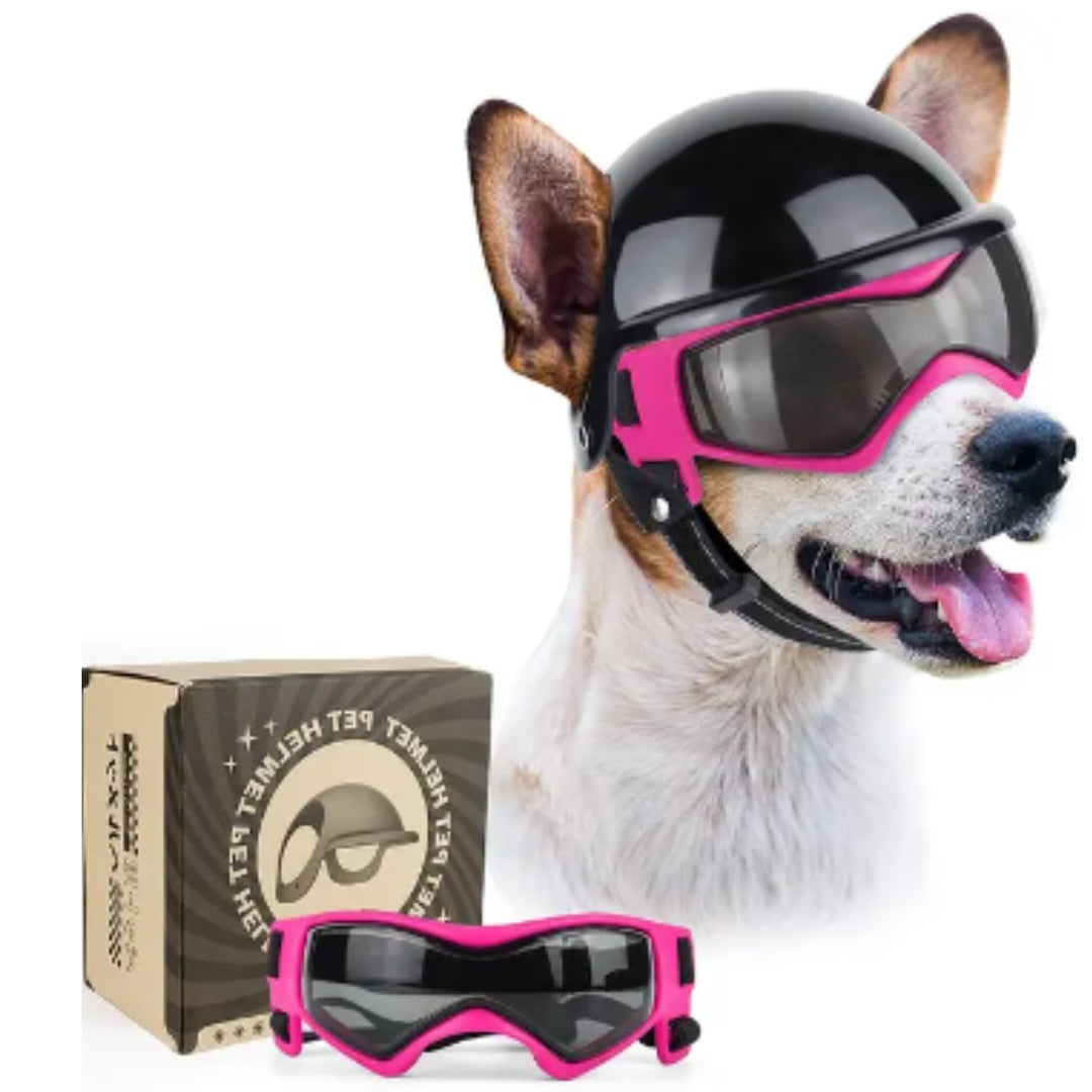 Dog Helmet and Goggles