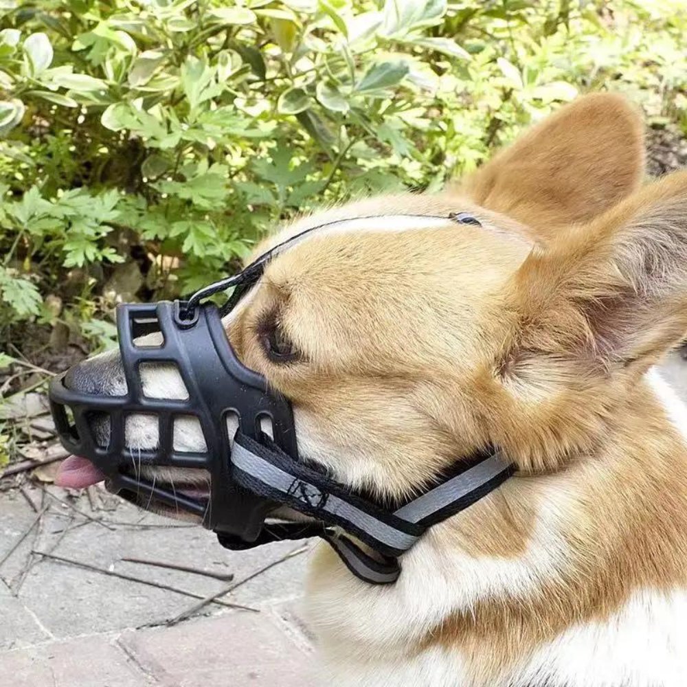 Dog Muzzle | Safety Feature for All Dog Breeds and Sizes