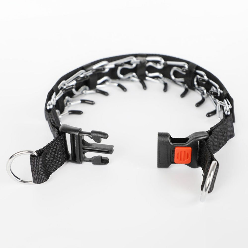 Dog Prong Collar – Style C