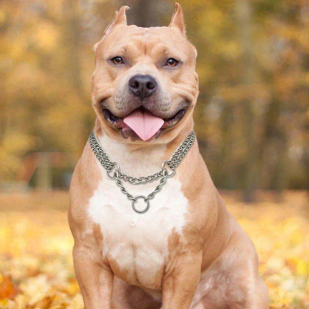 Dog Training Collar