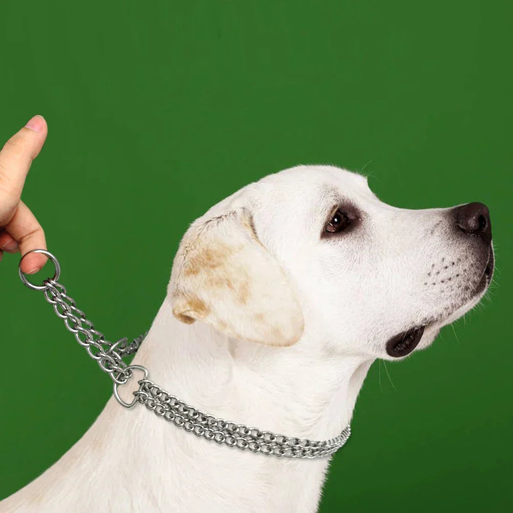 Dog Training Collar