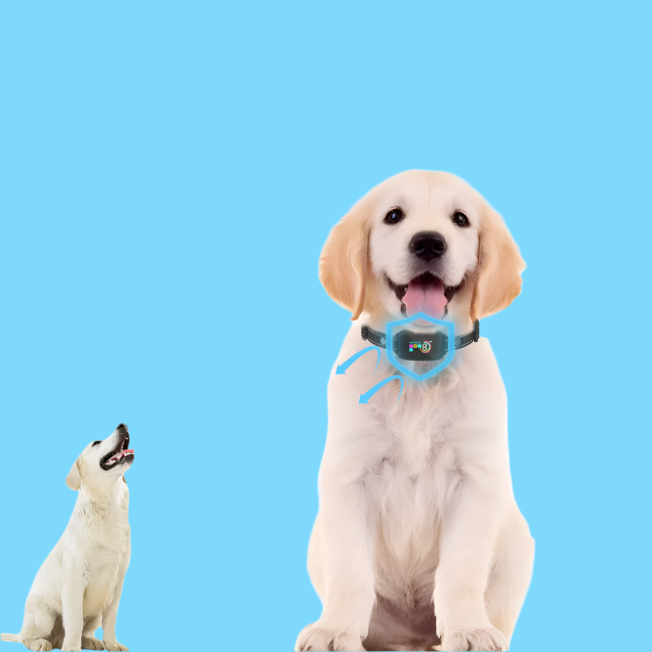 Dog Training Collar with Remote - 8 Levels Vibration and Shock