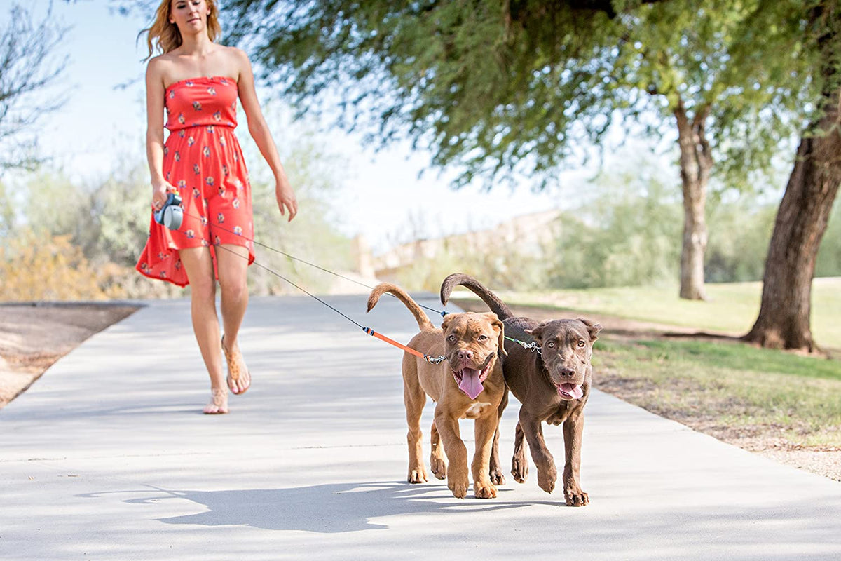 Dual Dog Leash – Tangle-Free