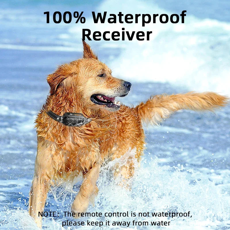 Electric Dog Training Collar with 1000 m Range and Waterproof Design