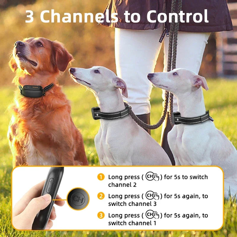 Electric Dog Training Collar with 1000 m Range and Waterproof Design